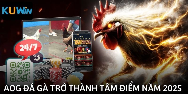 AOG đá gà luôn được hội viên ưu tiên lựa chọn