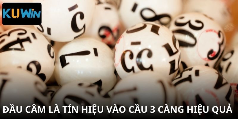 Khi đầu câm xuất hiện, đây là tín hiệu mạnh để vào cầu 3 càng